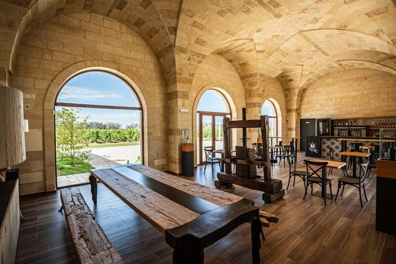 TORLEANZI: wine tour and tasting at winery in Torre San Gennaro - What Makes This Tour Stand Out?