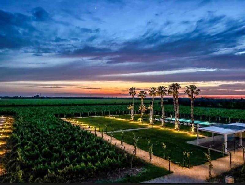 TORLEANZI: wine tour and tasting at winery in Torre San Gennaro - Why This Tour is Worth It