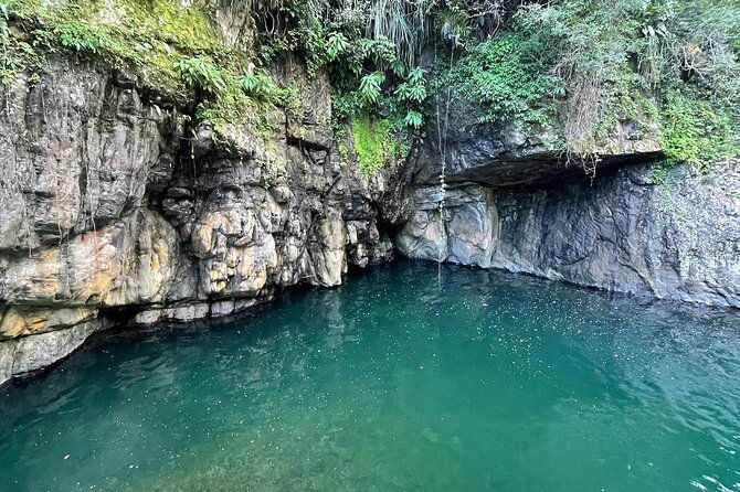 toro-negro-river-hike-san-juan-pick-up