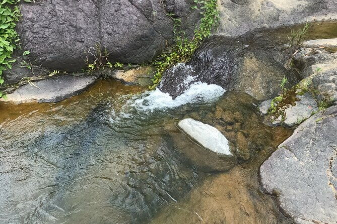 toro-negro-river-hike-san-juan-pick-up