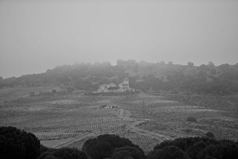 toro-piedra-winery-tour-and-tastings