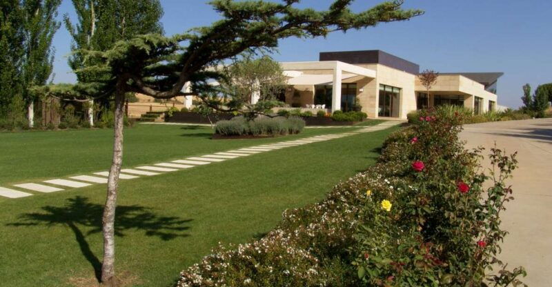 toro-piedra-winery-tour-and-tastings