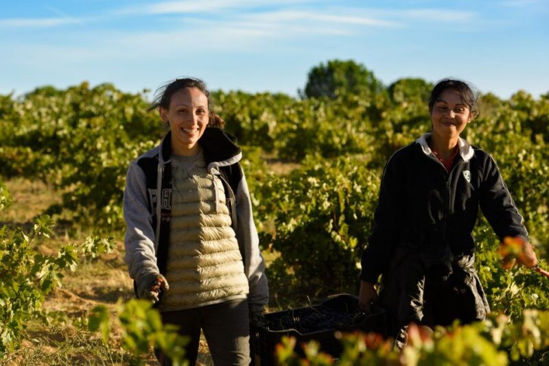 toro-piedra-winery-tour-and-tastings