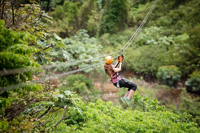 toro-verde-7-zipline-tour-plus-the-monster-with-transport