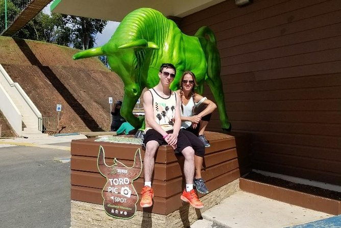toro-verde-7-zipline-tour-plus-the-monster-with-transport