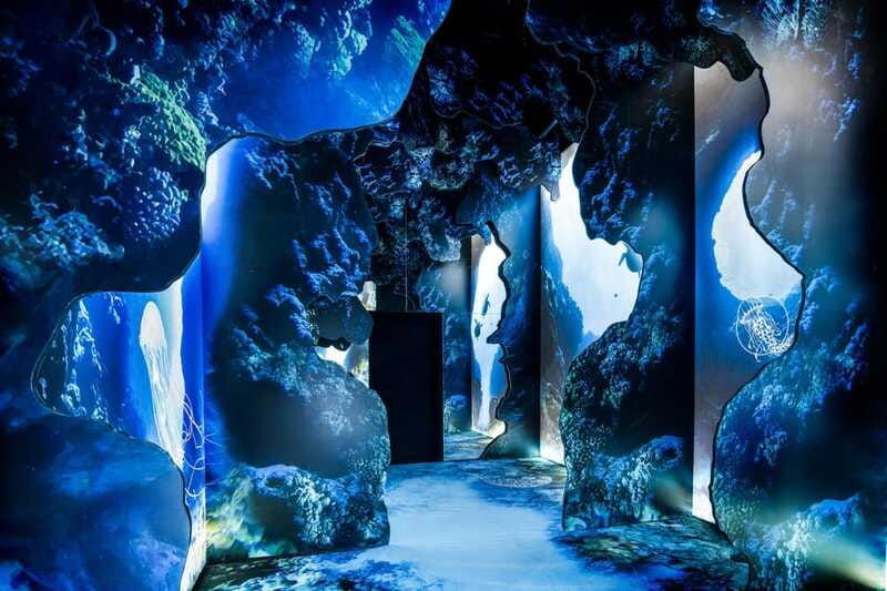 toronto-arcadia-earth-immersive-experience-anytime-ticket
