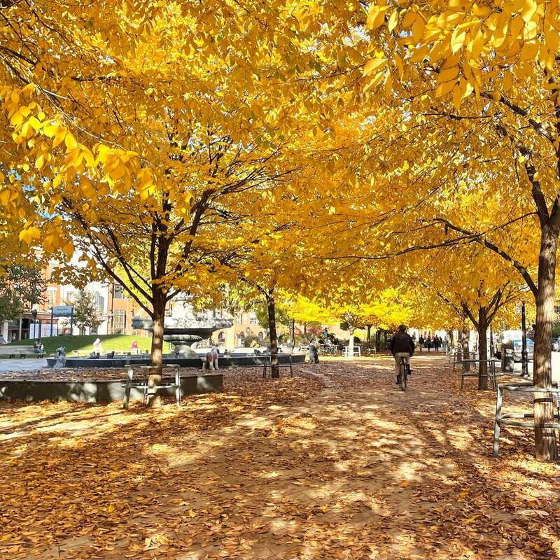 toronto-city-walking-tour