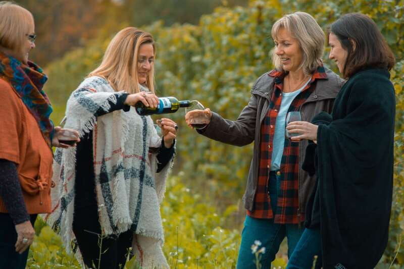 toronto-niagara-wineries-tasting-tour-optional-lunch