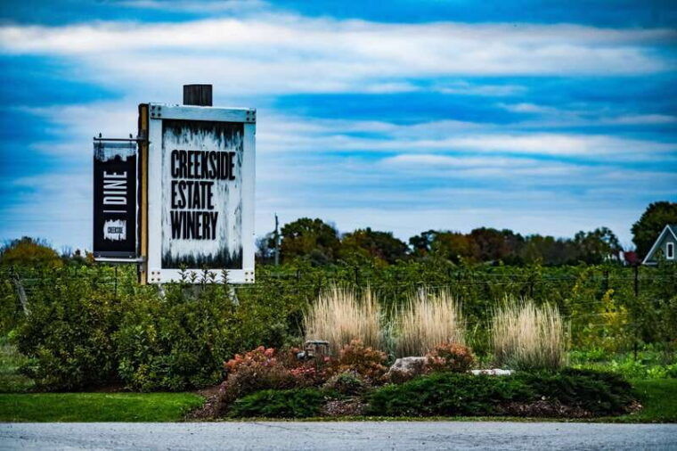 toronto-niagara-wineries-tasting-tour-optional-lunch