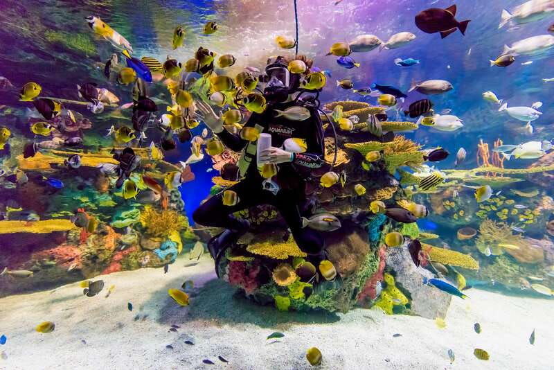 toronto-ripleys-aquarium-of-canada-entry-ticket