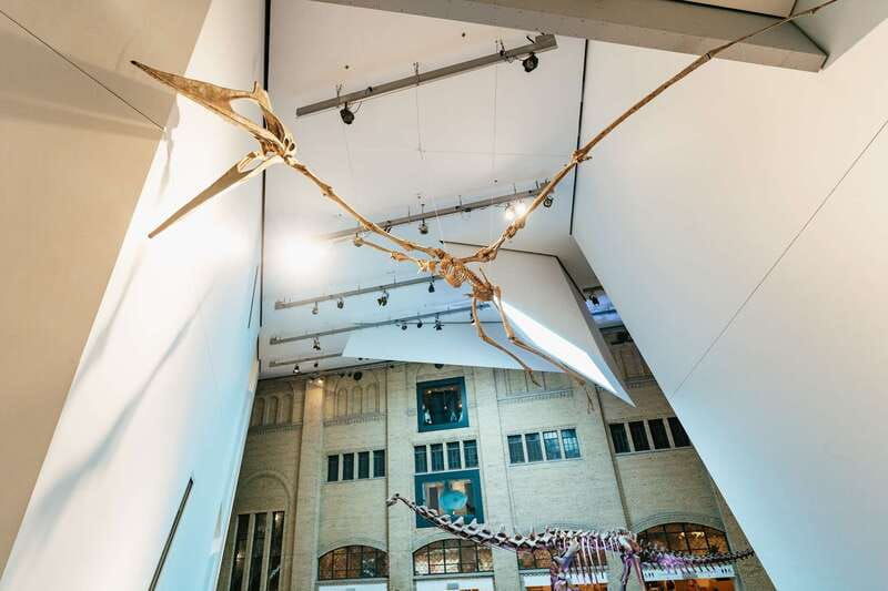 toronto-royal-ontario-museum-admission-ticket