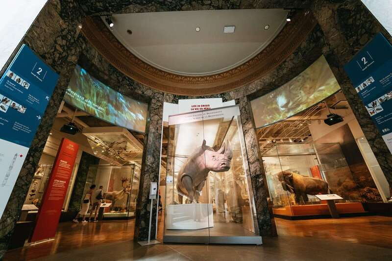 toronto-royal-ontario-museum-admission-ticket