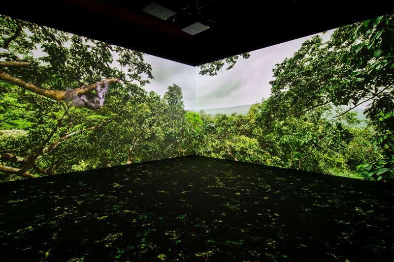 toronto-royal-ontario-museum-special-exhibits-voucher