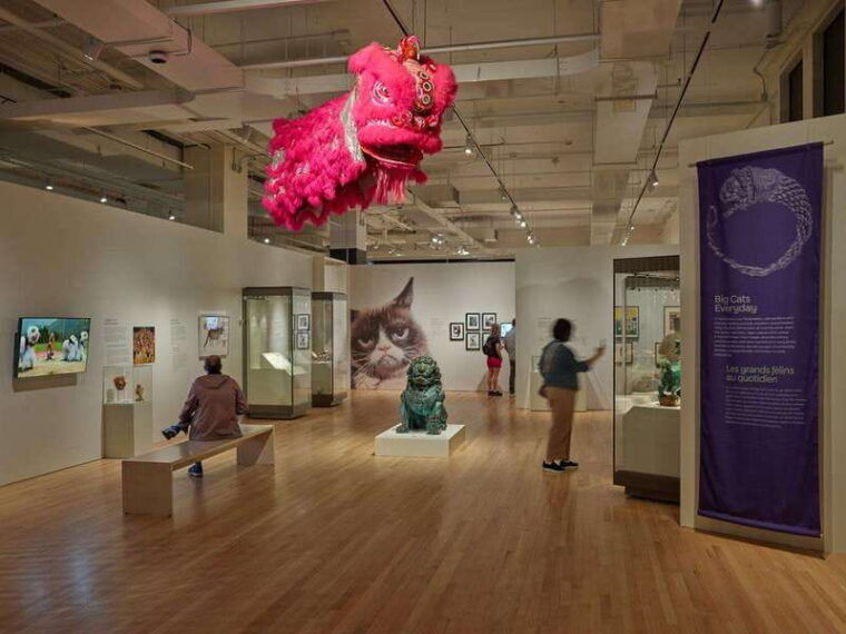 toronto-royal-ontario-museum-special-exhibits-voucher