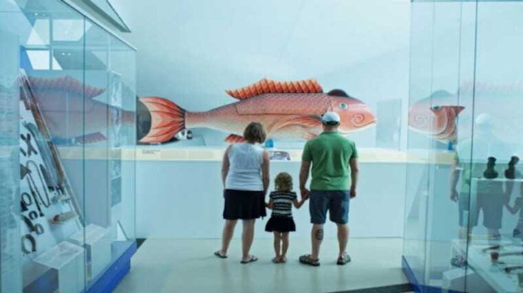 toronto-royal-ontario-museum-special-exhibits-voucher