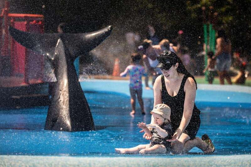 toronto-toronto-zoo-entry-ticket