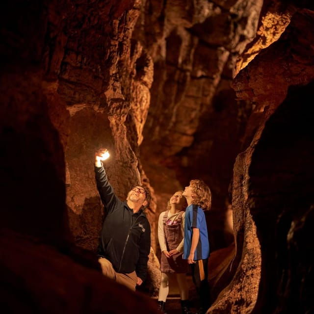 torquay-kents-cavern-prehistoric-cave