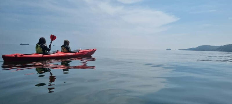 Torquay: Wildlife, Bushcraft and Sea Cave Kayak Safari - Practical Details: What You Need to Know