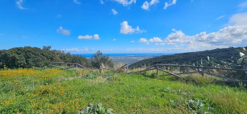 Torre Canne: E-Bike Ride by the Sea with Octopus Sandwich - An In-Depth Look at the Experience
