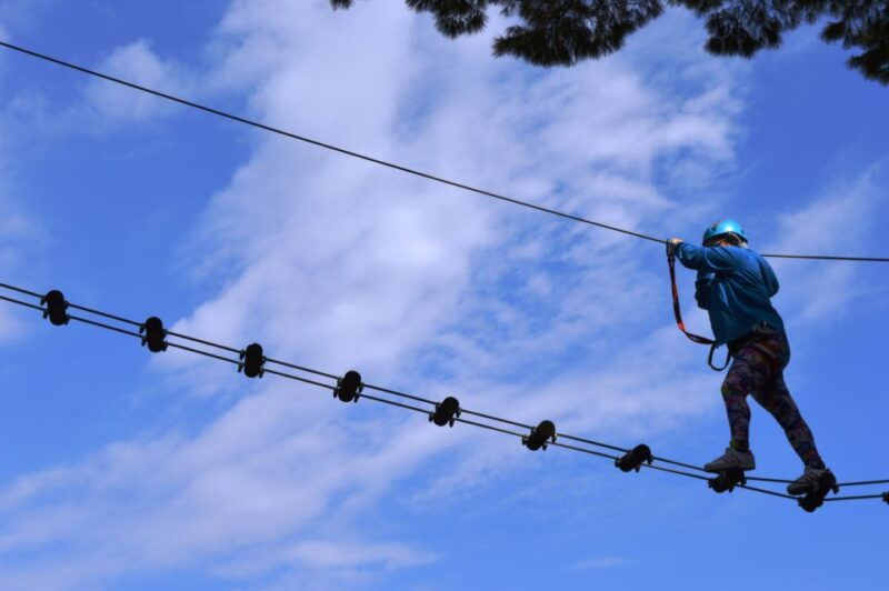 torre-del-greco-bear-valley-adventure-park-entry-ticket