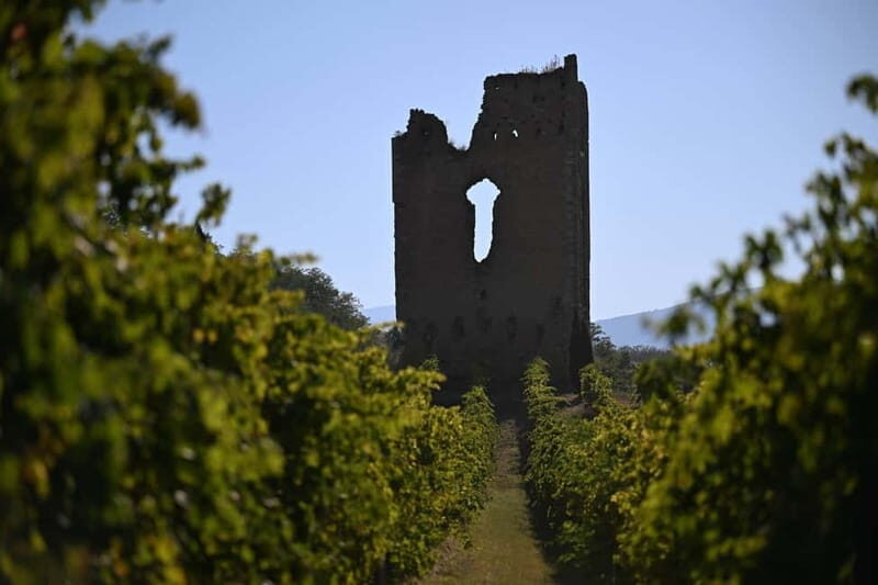 Torre Raone: the tradition of the vineyards - Who Will Love This Tour?