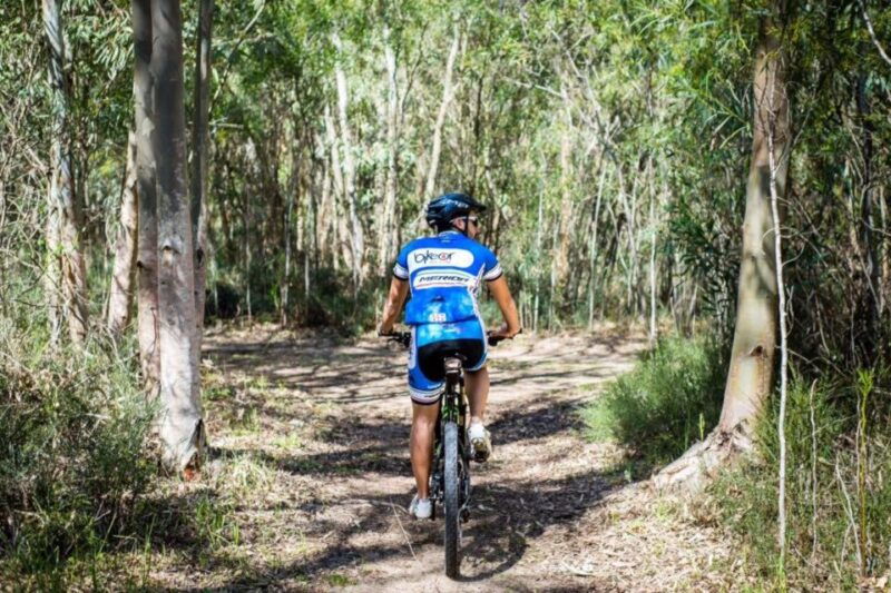 torregrande-marina-bike-tour