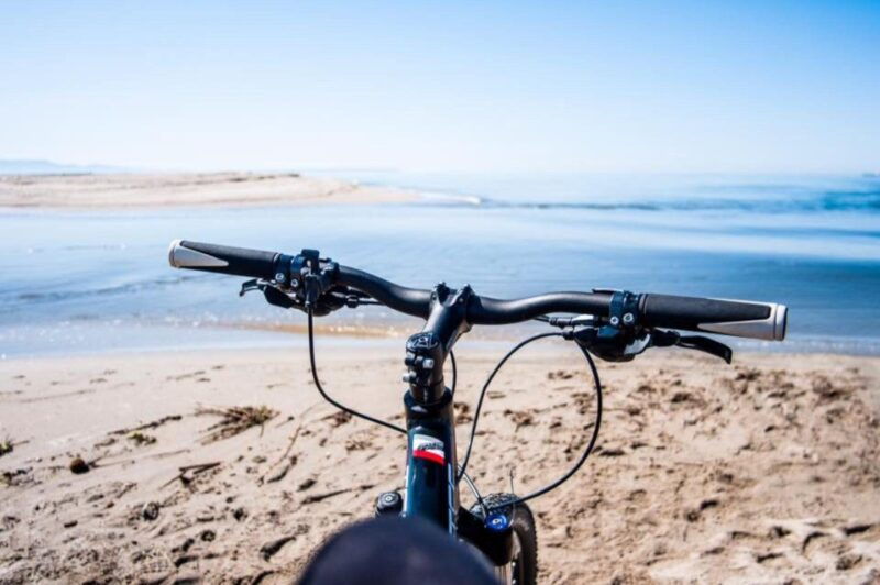torregrande-marina-bike-tour