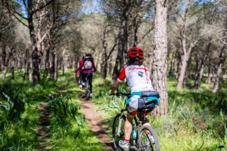 torregrande-marina-bike-tour