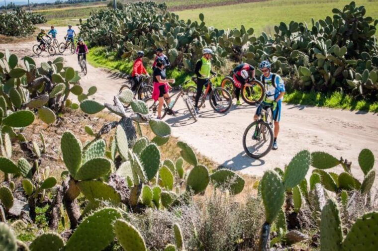 torregrande-marina-bike-tour