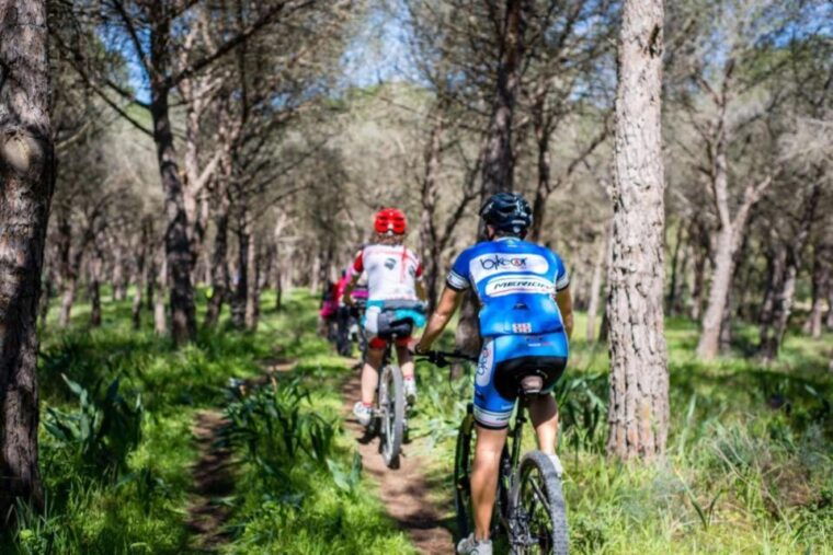 torregrande-marina-bike-tour