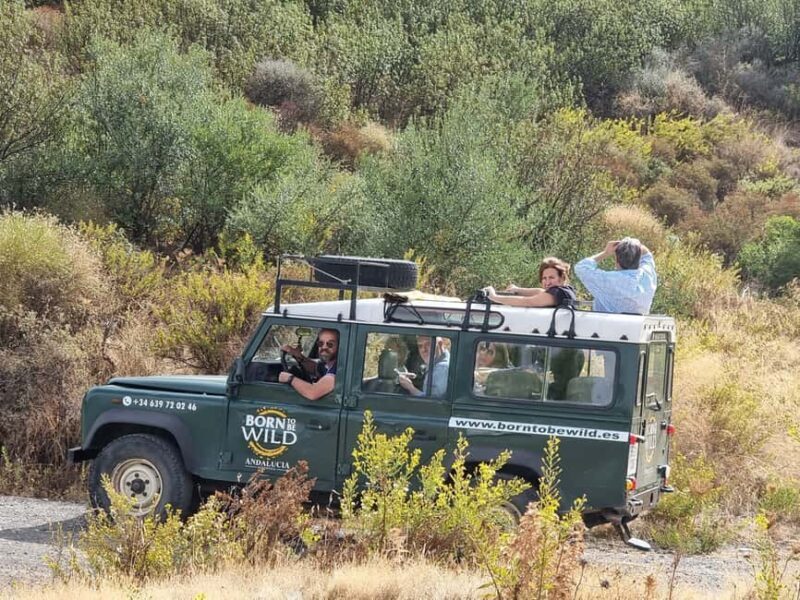 Torremolinos-Benalmádena: Jeep EcoTour - Authentic Andalusia - Touring Sierra de las Nieves Natural Park