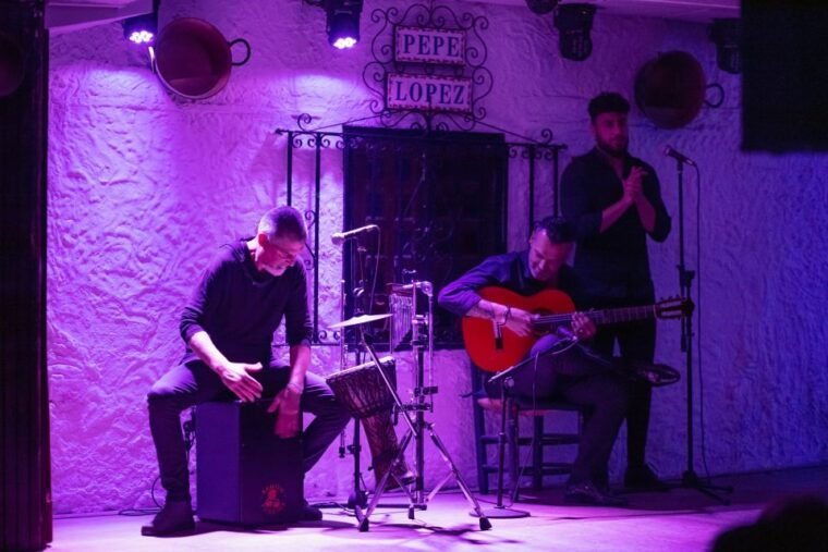 torremolinos-flamenco-show-with-drinks