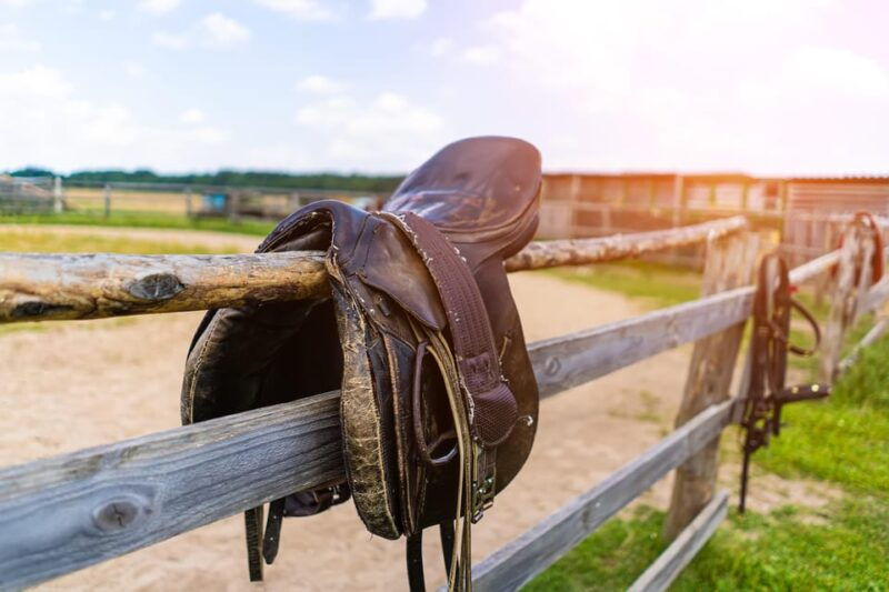 torremolinos-guided-tour-to-stables-of-el-ranchito