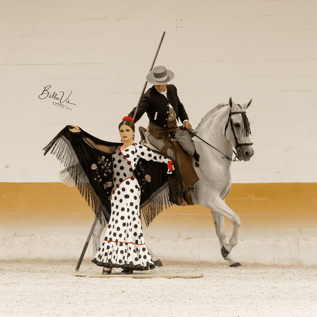 torremolinos-spanish-horse-show-and-flamenco-option-with-dinner