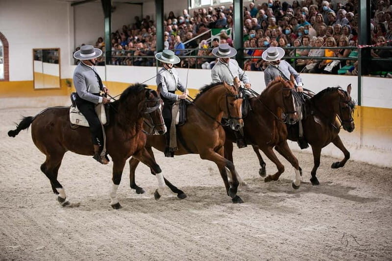 Torremolinos: Spanish horse show and flamenco with dinner option - Key Points