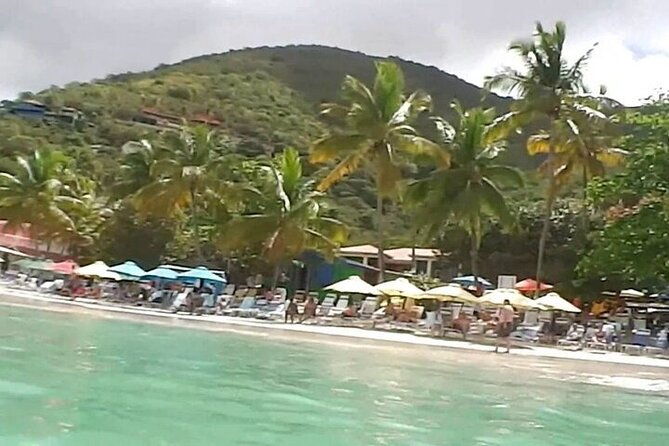tortola-beach-trip