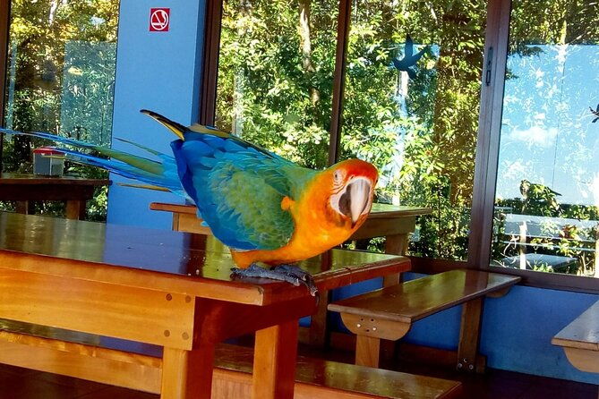 tortuguero-national-park-day-trip-from-san-jose