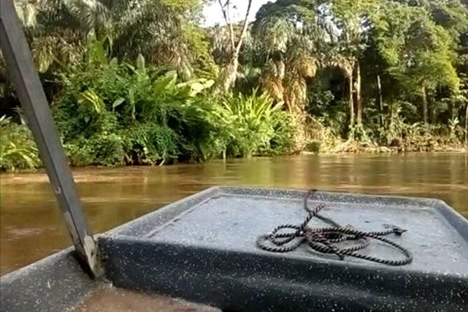 tortuguero-national-park-day-trip-from-san-jose