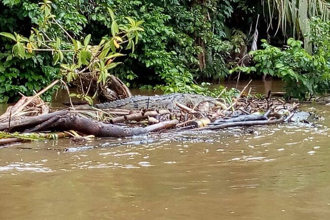tortuguero-national-park-day-trip-from-san-jose