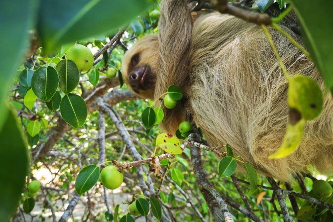 tortuguero-national-park-eco-adventure-canoe-tour-from-san-jose