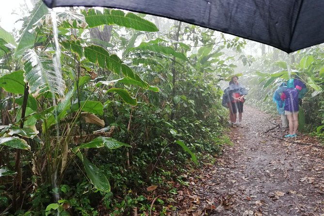 tortuguero-national-park-eco-adventure-canoe-tour-from-san-jose