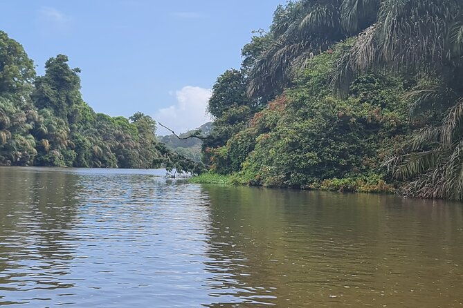 tortuguero-one-day-private-tour-from-san-jose