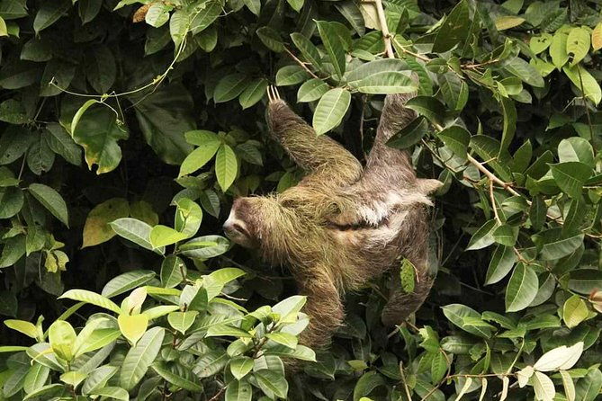 tortuguero-pacuare-3-days-2-nights