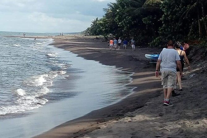 tortuguero-private-kayak-tour