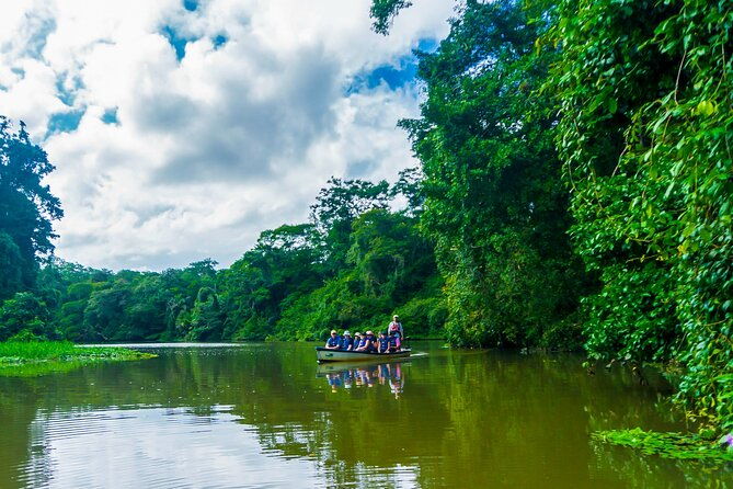 tortuguerocanoe-tour-day-hike-hill-tour-night-or-spawning-tour