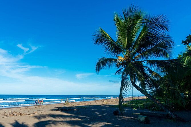 tortuguerocanoe-tour-day-hike-hill-tour-night-or-spawning-tour