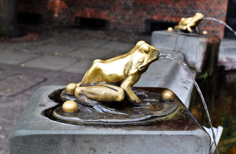 torun-old-town-highlights-private-walking-tour-2