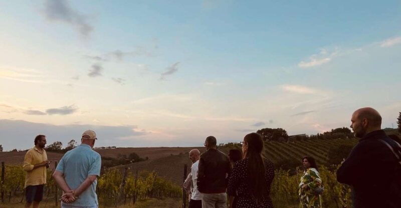 toscana-guided-tour-wine-tasting-and-local-syrian-bites