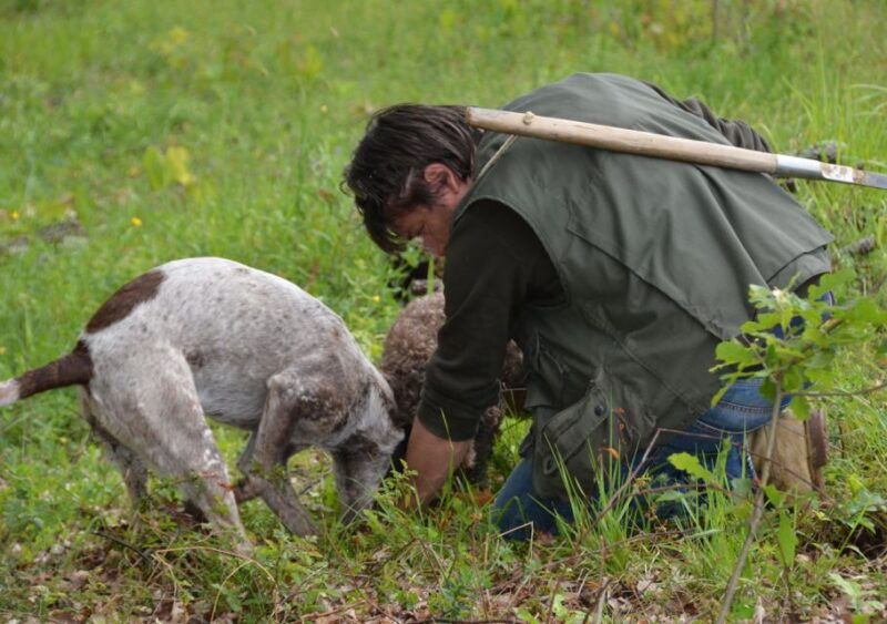 toscana-truffle-hunting-and-tasting