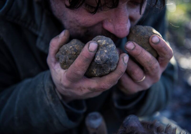 toscana-truffle-hunting-and-tasting